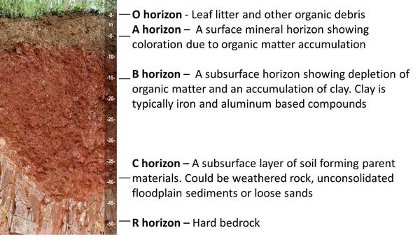 topsoil a horizon definition