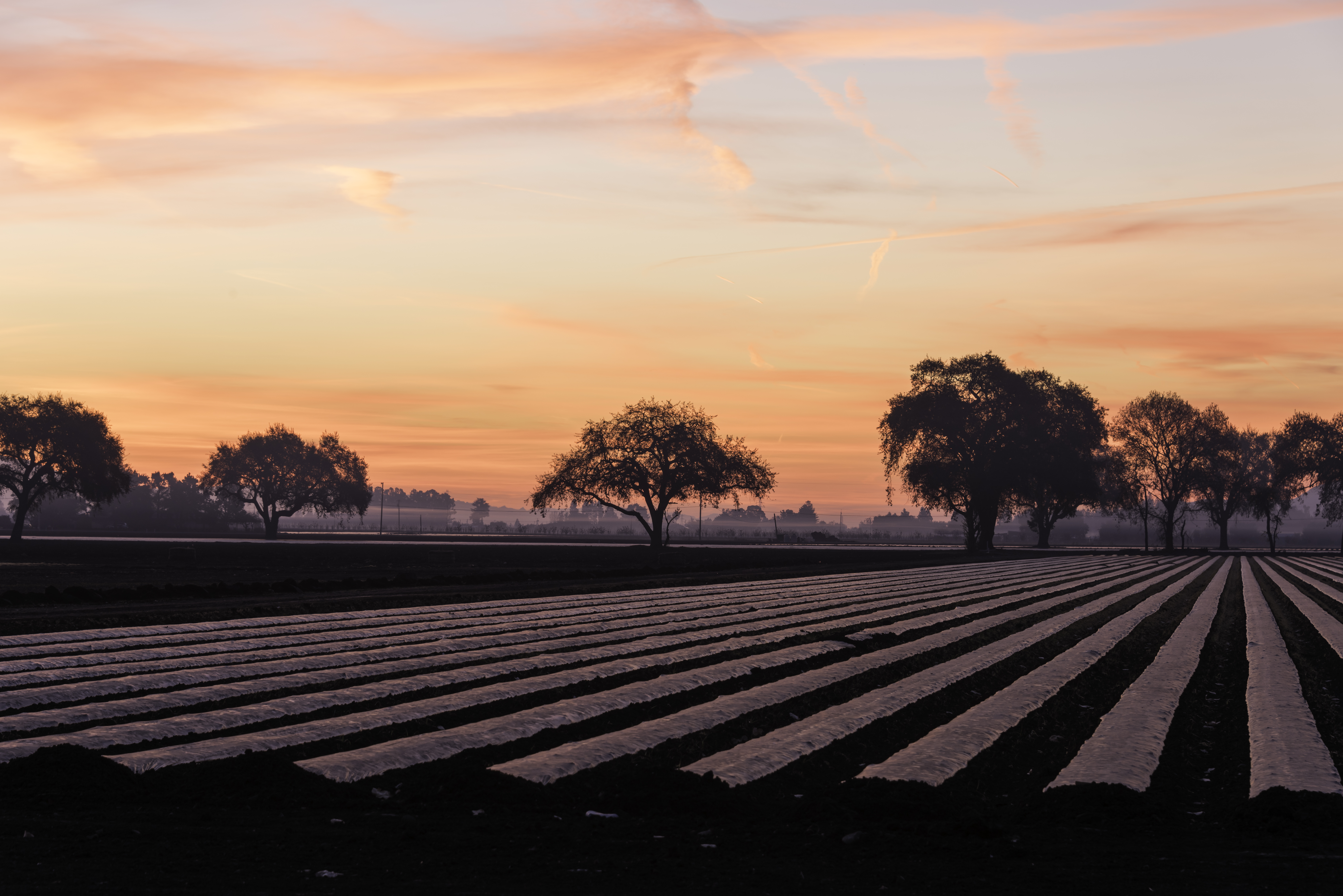 Santa Clara County approves plan to conserve and protect Coyote Valley to  help local farmers